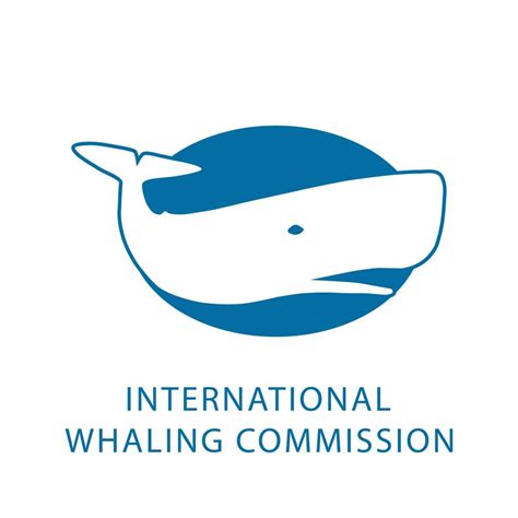 iwc whaling brazil|which countries still allow whaling.